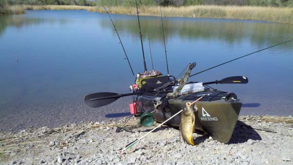 Bow Fishing