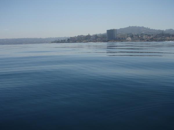 P6200053
