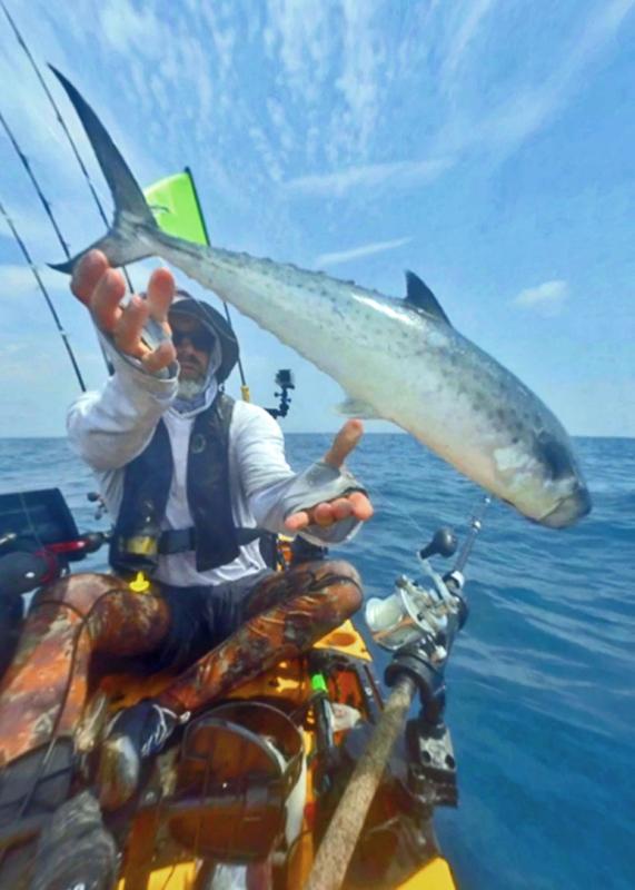Smaller Kings often have more spots making them look like Spanish mackerel.  Note the later line on the side of the fish dips just past the dorsal fin.  On a Spanish Mackerel, the line is straight.