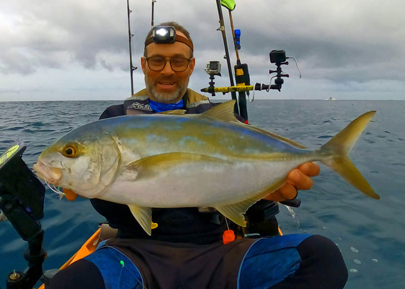 Yellowjack taken while fishing for bait with a Sabiki.
