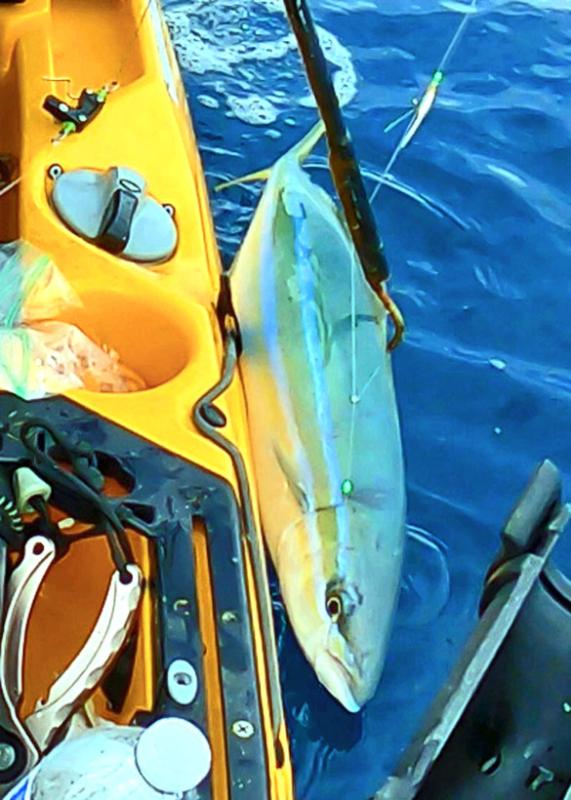 Rainbow Runner on a sabiki